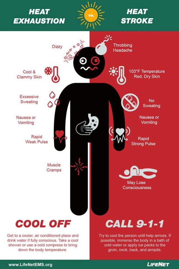 Recognizing Heat Stroke Vs Heat Exhaustion Lifenet Emergency Medical Services Ems